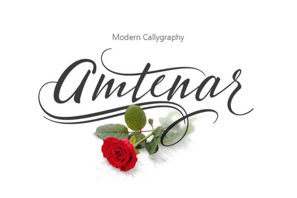 Amtenar: The Font That Elevates Your Campaigns