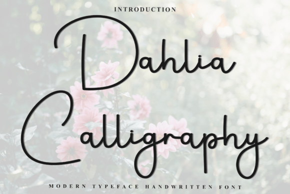 Dahlia Calligraphy