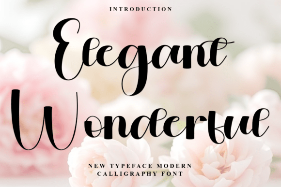 Elegant Wonderful: A Script Font That Elevates Digital Branding