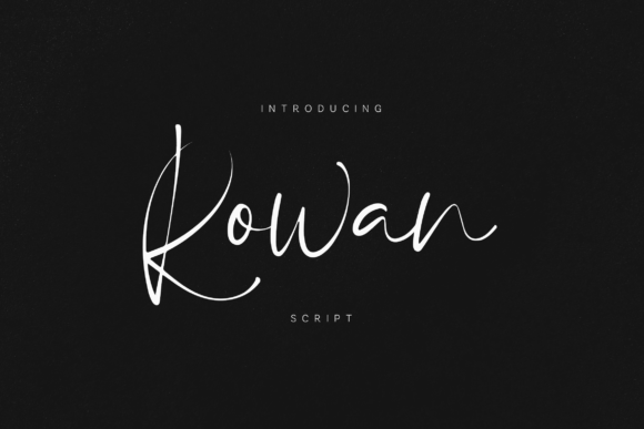 Rowan: The Font That Elevates Your Brand